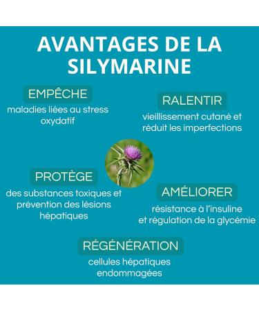 Berberine 500mg compl ment alimentaire berb rine avec chardon marie silymarine berberine perte de poids m tabolisme glyc mie la berberine HCL 500 mg berberina et berberine chrome - Buy Online on GoSupps.com