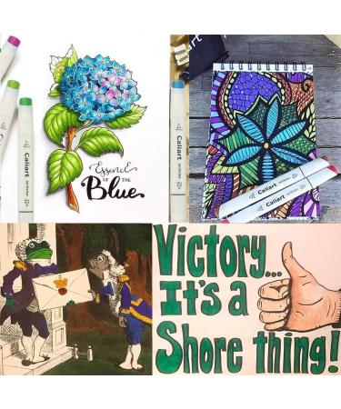Caliart 81 Colors Alcohol Markers Dual Tip for Art Sketch Coloring - Bonus Colorless Blender Included - Buy Online on GoSupps.com