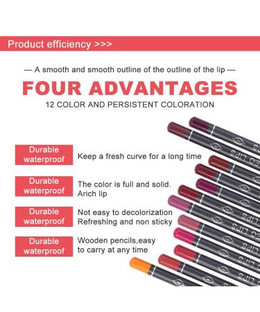 Italia Deluxe Ultra Fine Lip Liner Set - Pack of 12 | Long-lasting and Precise Application - Buy Online on GoSupps.com