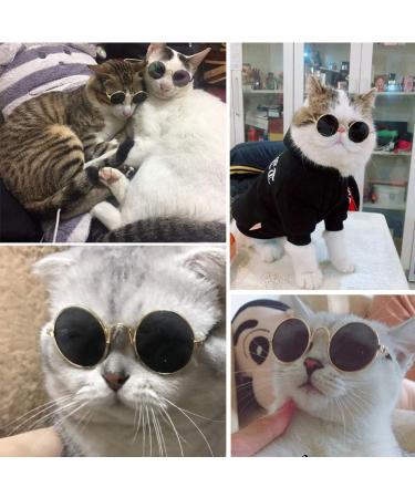 2pcs Random Color Small Cat Kitten Glasses Pet Sunglasses - 3cm/1.1 Inch Cosplay Costume Photos Props - Buy Online on GoSupps.com