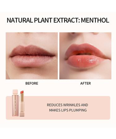 HERA Moisturizing Lip Balm Endorsed by Jennie - Glossy Lip Serum by Amorepacific | 3.5g 279 MOODY - Buy Online on GoSupps.com