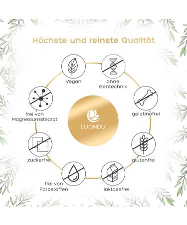 Quercetin 500mg Vegan Capsules - High-Dose 120 Count - Premium Japanese Extract - Lab Tested Additive-Free - Buy Online on GoSupps.com