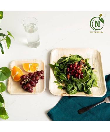 Naturelia 100% Compostable 10-Inch Palm Leaf Disposable Deep Plates Square- Eco-Friendly Biodegradable and Microwave-Safe Palm Leaf Dinnerware for All Occasions - Buy Online on GoSupps.com