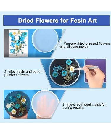 160pcs Dried Pressed Flowers for Resin Crafts - Bulk Natural Herbs Kit for DIY Art Projects - Epoxy Resin, Candle, Soap Making - Set A - Buy Online on GoSupps.com
