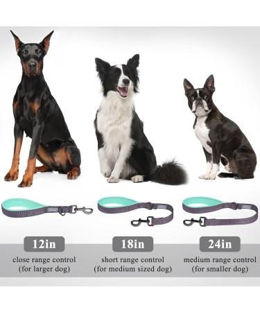 Vivaglory Short Dog Leash - 46 cm Training Line for Medium & Large Dogs | Durable Gray Design - Buy Online on GoSupps.com