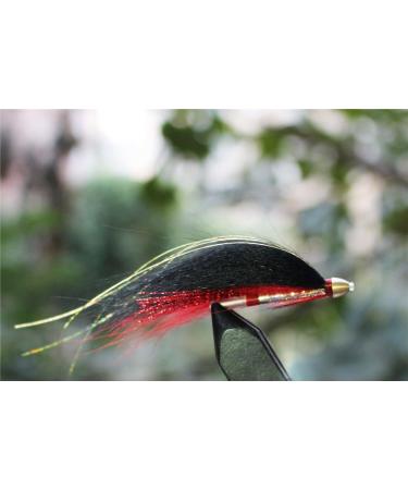 Tigofly 40pcs Cone Head Tube Fly Set | Best Streamer Flies for Salmon Trout & Steelhead Fishing - Premium Lure Patterns - Buy Online on GoSupps.com