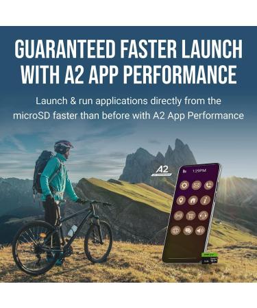 PNY 512GB Premier-X Class 10 U3 V30 microSDXC Flash Memory Card - High Capacity Storage - Buy Online on GoSupps.com