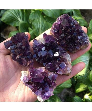 Amethyst Rough Stone Mix Random Dream Amethyst Quartz Crystal Cluster Specimen (Color : 180-200g Size : Mix Random) (Color : 100-130g Size : Mix Random) Mix random 100-130g - Buy Online on GoSupps.com