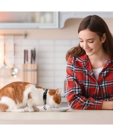 2PCS Breakaway Cat Collars with Bell - Adjustable Safe Kitten Collars - Glow in The Dark - Black&Purple - Buy Online on GoSupps.com