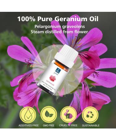 Geranium Essential Oil 10ml 100% Pure Geranium Oil for Diffuser Skin Hair Face Soap & Candle Making Aromatherapy & Massage Geranium 0.34 Fl Oz (Pack of 1) - Buy Online on GoSupps.com