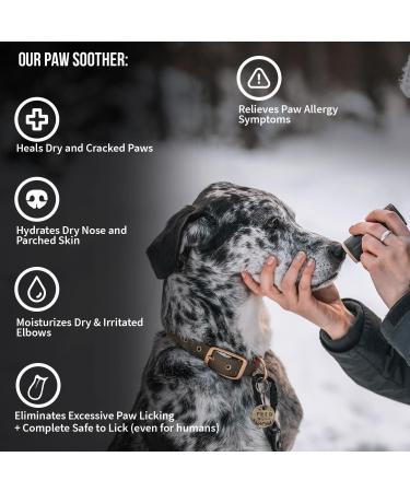 SKER Dog Paw Balm for Winter | Veterinarian-Approved Paw Protection | Handmade in Canada | Safe Paw Soother for Dry, Cracked Paws - Buy Online on GoSupps.com