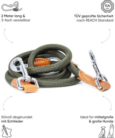 Freudenier Dog Leash for Large Dogs - 2m 3-Fold Durable Nylon with Stylish Brown Leather | Forest Green - Buy Online on GoSupps.com