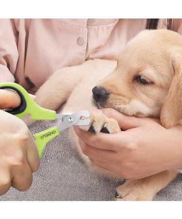 OneCut Nail Clippers for Pets - Professional Cat & Kitten Claw Trimmers - Ideal for Small Dogs & Puppies - Updated Green Design - Buy Online on GoSupps.com