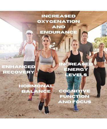 ROYAL SHILAJIT Premium Extract for Enhanced Vitality and Well-Being - Buy Online on GoSupps.com