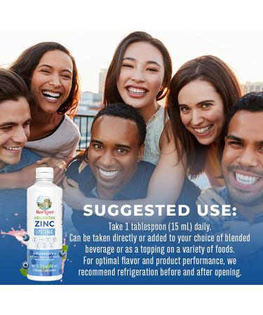 Immune Support Liquid Zinc Supplement with Vitamin E - 15.22 Fl Oz | Vegan, Non-GMO, Gluten Free, No Sugar Added - Buy Online on GoSupps.com