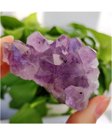 Natural Crystal Rough Popular Natural Uruguay Amethyst Cluster Original Rough Raw Purple Crystal Clusters Druse for Reiki Decoration (Size : 200g 2pc) - Buy Online on GoSupps.com