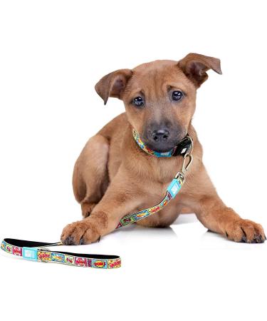 Max & Molly 4FT Neoprene Padded Dog Lead - Waterproof & Machine Washable - Small to Large Dogs - Comic XS - Buy Online on GoSupps.com