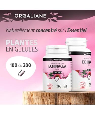 Echinacea Organic 210 mg - 200 Capsules - Ecocert Certified - Orgaliane - Buy Online on GoSupps.com