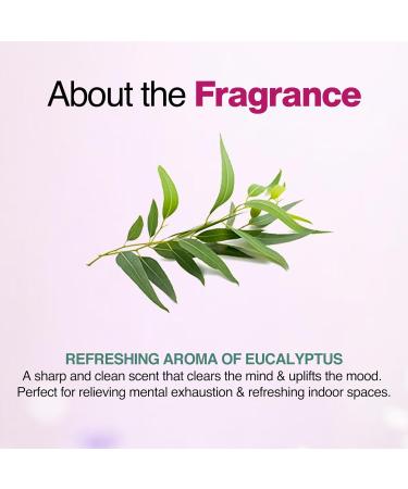 Nourish Mantra Organic Eucalyptus Essential Oil for Massage Aromatherapy & Skin |100% Pure USDA Certified Organic Eucalyptus Essential Oil | Perfect for Diffuser Home & Car - Buy Online on GoSupps.com