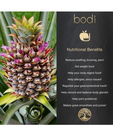 Bodi Bromelain 100gdu Pineapple Extract Powder | Pure Natural Chemical-Free | 4oz Size - Buy Online on GoSupps.com