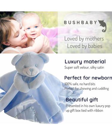 BUSHBABY 'A New Star is Born' Baby Comfort Blanket in Box | Blue Baby Gift Set for Boys | Plush Teddy Security Blanket for Newborns | Soft Toy for Babies - 10cm - Buy Online on GoSupps.com