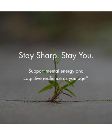 NAOMI Brainspan with BDNF Boost - Fast-Acting Support for Healthy Brain Function & Performance Lion's Mane Mushroom Ginkgo Biloba Extract Garden Sage Spanish Sage - 60 Capsules 30-Day Supply - Buy Online on GoSupps.com