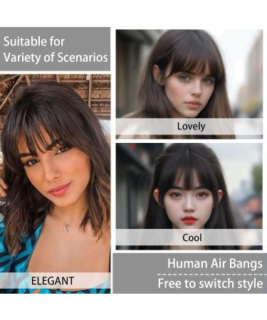 Clip in Fringe Human Hair Fringe Thin Clip in Bangs Hair Extensions Hairpieces with Temples (#2 Light Brown Wispy Bangs - with Temples) Wispy Bangs - with Temples #2 Light Brown - Buy Online on GoSupps.com