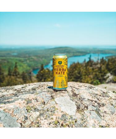 Guayaki Yerba Mate Organic Drink Bluephoria 15.5 Ounce Cans (Pack of 12) 150mg Caffeine Alternative to Coffee Tea and Energy Drinks - Buy Online on GoSupps.com
