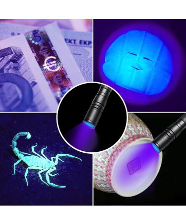 Geekhigh UV Flashlight - LED 395NM Waterproof Black Light for Pet Urine Bed Bugs & Scorpion Detection | Zoomable & IP54 Rated - Buy Online on GoSupps.com