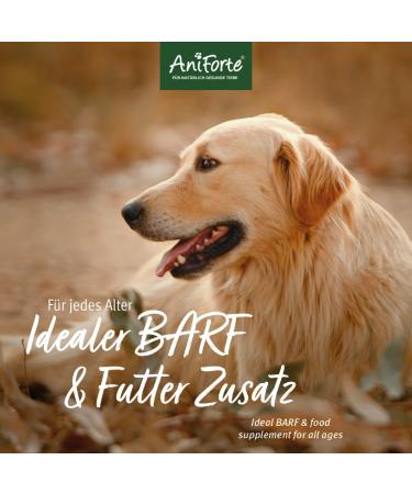 Aniforte Ground Bones for Dogs & Cats - 2 kg Meat Bone Flour Natural Calcium for Strong Bones & Joints - Buy Online on GoSupps.com