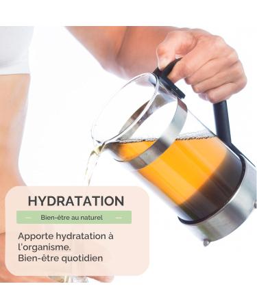  Herbes du Monde Herbes du Monde - Purple Echinacea with Cut Roots - 100 g - Buy Online on GoSupps.com