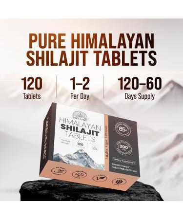 Sages Of The Ages Himalayan Shilajit Tablets Pure Gold-Grade Himalayan Extract 200 mg Each 120 Count Organic Lab-Tested Fulvic Acid for Energy Stamina & Vitality Support for Men & Women - Buy Online on GoSupps.com