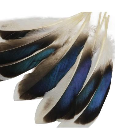 LUORNG 150PCS Duck Feathers - Natural DIY Craft Art Decor for Carnival, Halloween, Handwork, Clothing, Costumes, Hair, Hats, Home Wedding Party Decoration - Buy Online on GoSupps.com