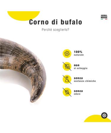 Animal House - Buffalo Horns for Dogs - Natural - Strengthens Oral Hygiene - Durable and Long Lasting - Available in All Sizes - Cruelty Free (1.5 L) - Buy Online on GoSupps.com
