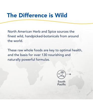 NORTH AMERICAN HERB & SPICE Gingerol - 1 fl oz - Cold-Extracted Ginger Oil - Supports Healthy Digestion - Non-GMO - 172 Servings - Buy Online on GoSupps.com