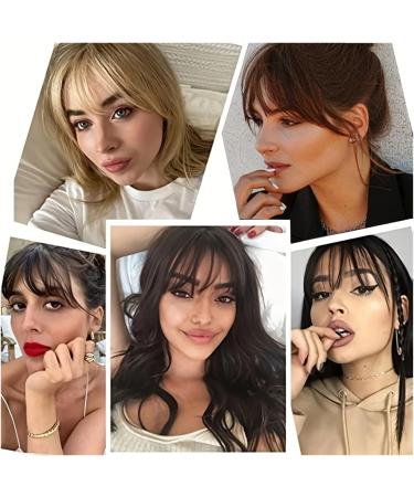 Bangs Hair Clip French Style Air Bangs Clip In Bangs Temples Hairpieces with Sideburns Straight Human Hair Daily Wear and Traceless Hairdressing Bangs Clip in Hair(Color:Dark Brown) - Buy Online on GoSupps.com