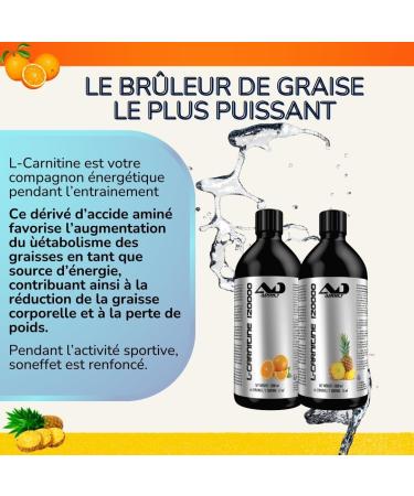 Addict Sport Nutrition Liquid Carnitine - Energy and Endurance Booster - Muscle Recovery and Optimized Oxygen Supply - L-Carnitine for Bodybuilding - 1 Liter (Tropical Pineapple Flavor) - Buy Online on GoSupps.com