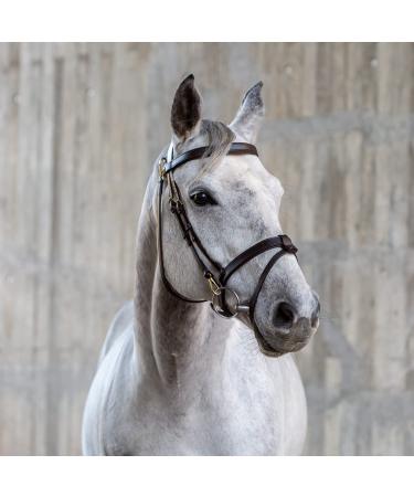 Sunride English combined bridle berlin with reins made of soft real leather with clip closure adjustable and anatomical (cob brown) COB brown