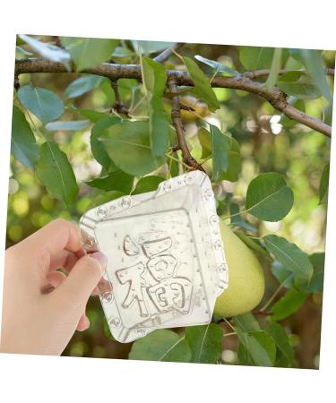 BESPORTBLE 2pcs Square Apple Molds Fruit Planting Molds Vegetable Stereotypes Plastic Mould Cover 1 - Buy Online on GoSupps.com