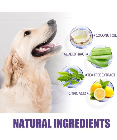 50 Pieces Dog Dental Care Finger Pads & Cleaning Wipes - Optimal Oral Hygiene for Pets - Buy Online on GoSupps.com