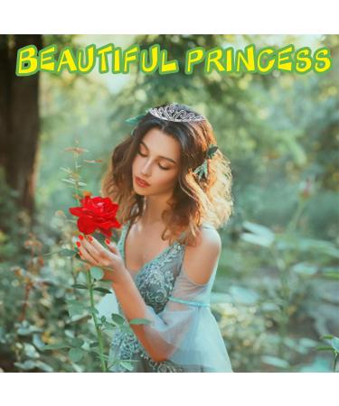 Baaxxango 8 Pack Crystal Tiara Crowns - Perfect for Girls Women Birthday Wedding Party Decor - Buy Online on GoSupps.com