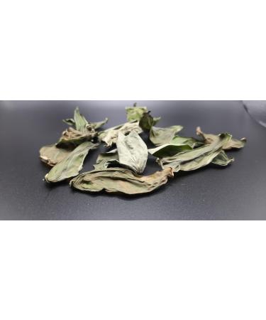 Basil Leaves | Deep Flow - Organic Hydroponic Dried Fresh Flavor Convenient Gourmet Herb