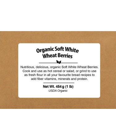 Be Still Farms Organic Soft White Wheat Berries 5lb - Non GMO White Wheat Berries for Soft White Wheat Bread - Ideal Feeder Oats - Bulk Organic Wheat Berry Grain - 5 Pound Pack - Buy Online on GoSupps.com
