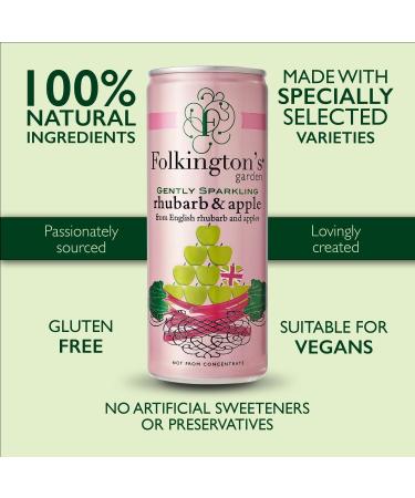 Folkington's Rhubarb & Apple Press 12-Pack Sparkling Soft Drink - Ideal Cocktail & Gin Mixer | 12 x 250ml - Buy Online on GoSupps.com