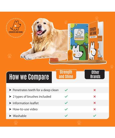 Strength and Shine Dog Toothbrush Dental Hygiene Kit - Online How-to Video Bamboo Brush Finger Brush and Storage Case Information Leaflet - Perfect for Dogs Easy to use and Durable - Buy Online on GoSupps.com