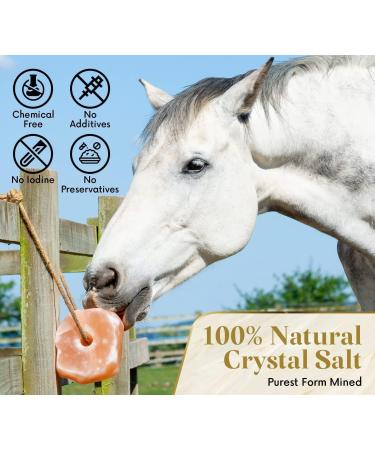 2x Himalayan Pink Salt Compressed Lick - Horse Cow Sheep Animal - 6kg each - Buy Online on GoSupps.com