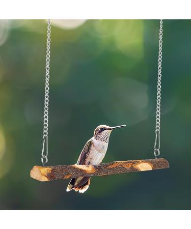 POPETPOP Bird Swing 2 Packs Parrot Swing Wooden Bird Swing Toy with Bell Hanging Swing Ring for Budgie Parakeet Cockatiel - Buy Online on GoSupps.com