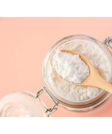 Organic VEGAN Coconut Milk Powder - 1KG | Dairy-free & Gluten-free Milk Alternative | Vegan Organic Certified | Bulk Coconut Milk 1 kg (Pack of 1) - Buy Online on GoSupps.com