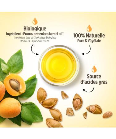  Plan te au Naturel Organic Apricot Kernel Oil 150 ml - AB - Natureen | Plan te au Naturel - Pure Natural and Cold Pressed - Food Grade - Buy Online on GoSupps.com