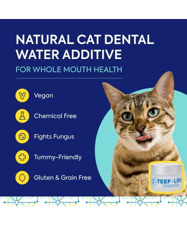 Protektin30 Plant-Derived Dental Water Additive for Cats Daily Dental Care Clinically-Proven Formula Naturally Fights Plaque and Tartar Dental Kit with 30 Servings Dental Kit (30 Servings) - Buy Online on GoSupps.com